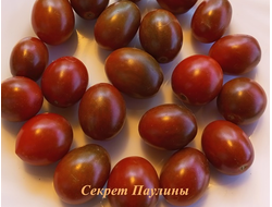 Томат Секрет Паулины (Paulinas Secret)