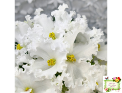 ЛИС-Поиграй Снежинками (Л. Сергеева) 2024 г.