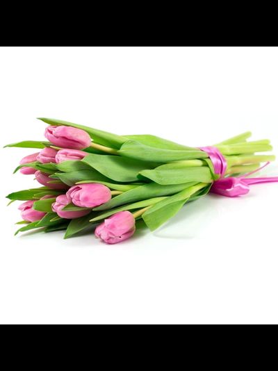 11 тюльпанов