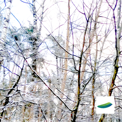 Интерьерный постер «Зимняя прогулка» из коллекции «Зимушка-зима».