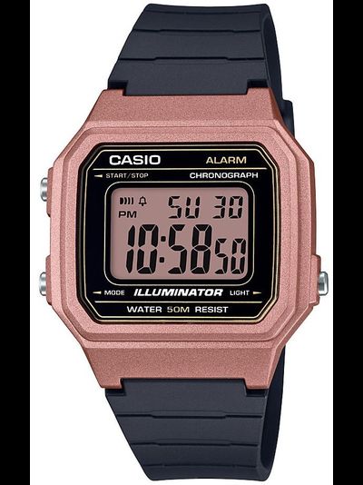 Часы Casio W-217HM-5A