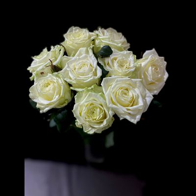 Роза Россия 50 см. 9 шт