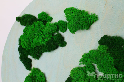 ЖИВАЯ ЭКО-КАРТИНА 1041