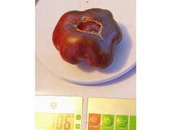 Томат Пленительный аметист