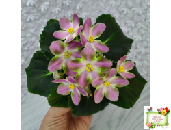 RIV-Амнезия (И. Растегаева) 2024 г.