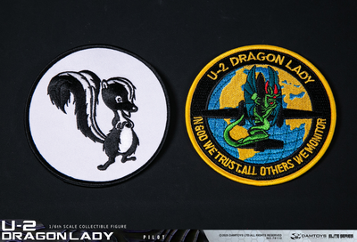ПРЕДЗАКАЗ - Пилот U-2 - Коллекционная ФИГУРКА 1/6 U-2 DRAGON LADY PILOT (78110) - DAMTOYS ?ЦЕНА: 25300 РУБ.?