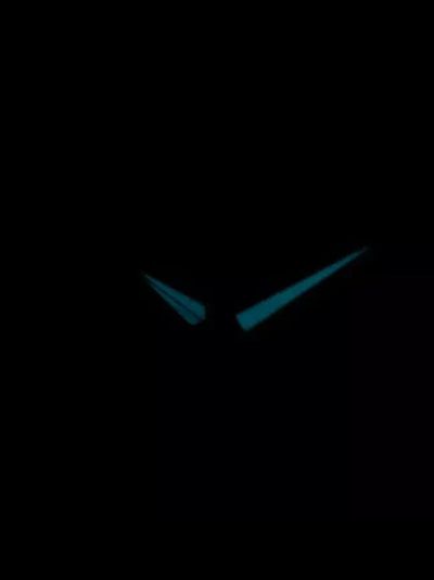 Наручные часы Citizen AP1050-81E