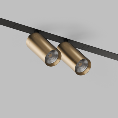 Трековый светильник Denkirs DK8012-BG