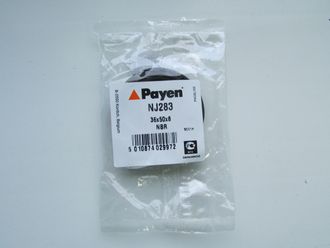 PAYEN NJ283 Сальник распредвала 50X36X8