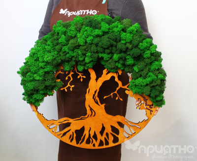 Живая Эко-Картина 1072