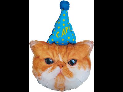 шар фигура Котик в колпачке 81см 1шт