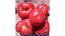 Грант генерала Ламберта