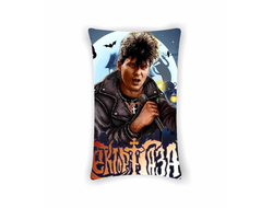 Подушка Сектор Газа, Юрий Хой №56