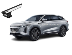 Дуги THULE (EvoFlushRail) для OMODA C9