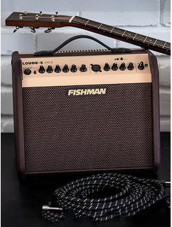 kombousiliteli-dlya-akusticheskih-gitar