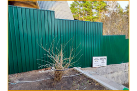 Забор из профлиста - СНТ Коммунальник