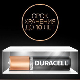 Батарейки DURACELL Basic, AAA (LR03, 24А), алкалиновые, КОМПЛЕКТ 2 шт., в блистере (отрывной блок), DRC-81528141