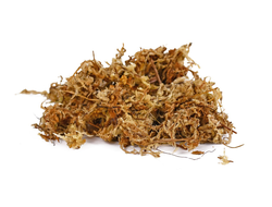 Мох сфагнум сухой 1л