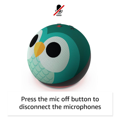 Amazon echo dot kids sale
