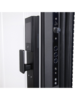 Стальная дверь   Сапсан (биометрический замок Smart lock DZ 888)