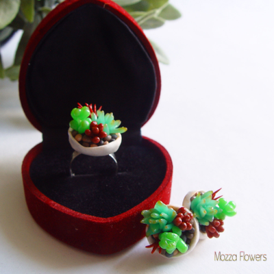 Комплект "Загадочные суккуленты". ЕСТЬ В НАЛИЧИИ.