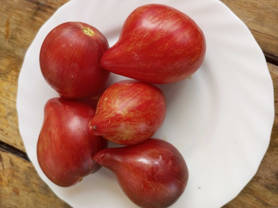 Томат Огненная комета Софии