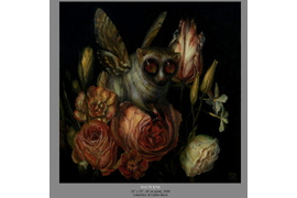 Лемур с крыльями. Необычные, мифические существа. Фэнтези существа. Иллюстрации