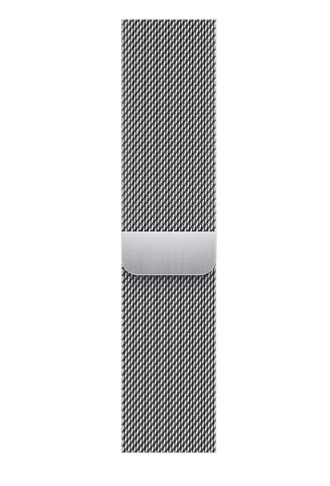 Умные часы Apple Watch Series 7 GPS + Cellular 45mm Silver Stainless Steel Case with Silver Milanese Loop
