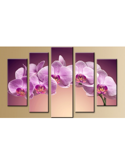 Модульная картина 80 х 140 см Орхидея