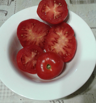 Семена томата Выстрел