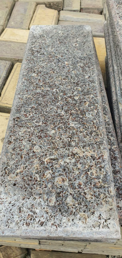 Морской ракушечник дагестанский с фаской