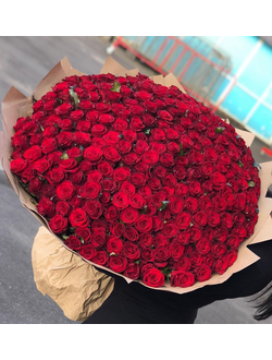 Букет из 303 красных роз 70см "Премиум"