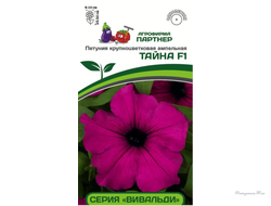 Партнер Петуния серия "Вивальди" ТАЙНА F1 / крупноцветковая ампельная^(5шт в амп)