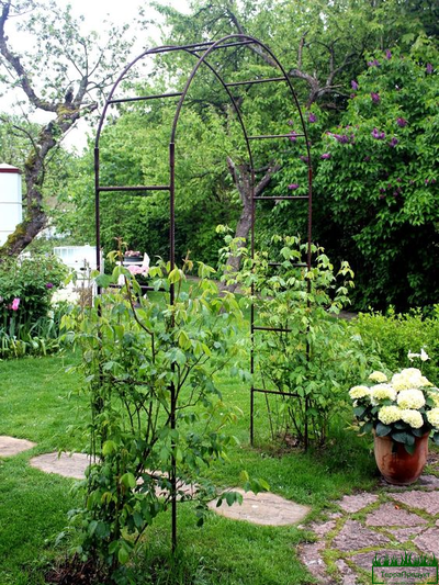 Арки садовые,арки в аренду,арки металлические,арка садовая купить,растения для садовой арки