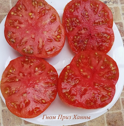 Томат Гном Приз Ханны ( Dwarf Hannah’s Prize, США, Австралия)