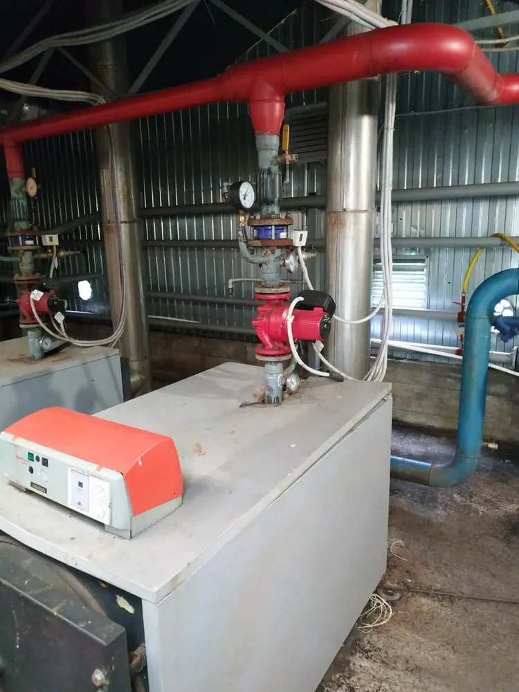 Теплицы Ленинградская область Волосовский район