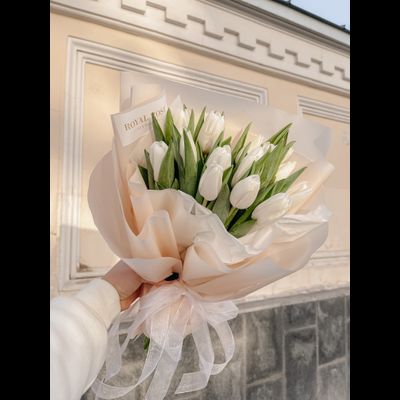 Белые тюльпаны MOONLIGHT 15 шт