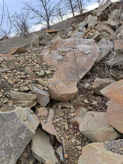 Валун серо зелёный песчаник