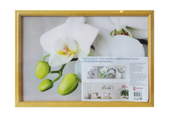 Набор постеров в раме из 3 шт.,  дерево, ПРН-163