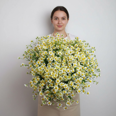 Моно букет цветов № 574