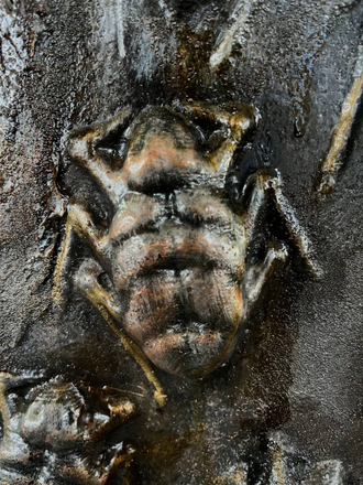 Decorative panel with beetles