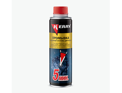 5-минутная промывка масляной системы двигателя КR391 (270мл)