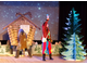 Новогодний спектакль детского театра &quot;Алиса&quot; &quot;Приключения новогодней елки&quot;.