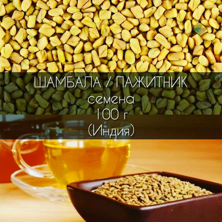 ШАМБАЛА семена (Пажитник, Фенугрек) 100 г TRS