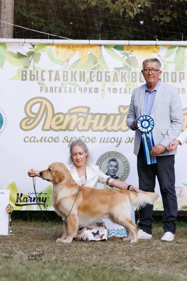 Янис - лучшая собака 8й группы выставки