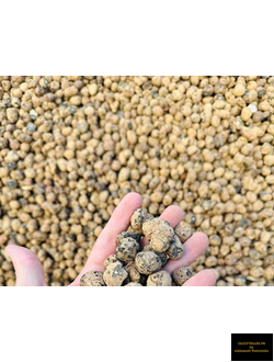 керамзитовый гравий