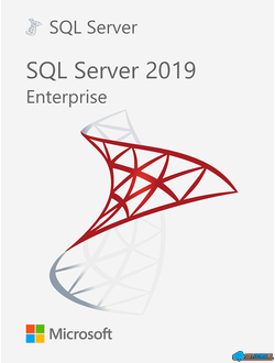 Microsoft SQL Server 2019 Enterprise Edition