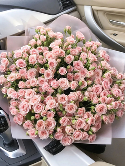 31 кустовая роза