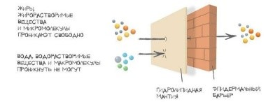 Капли DOBROPET-91: онкологические заболевания у собак и кошек, 30 мл