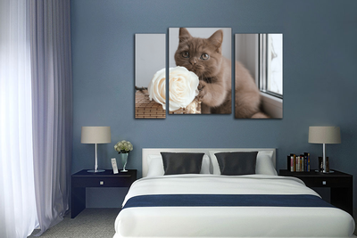 Модульная картина "Кот с розой"